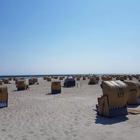 Aurora Sonnenschein 5-412