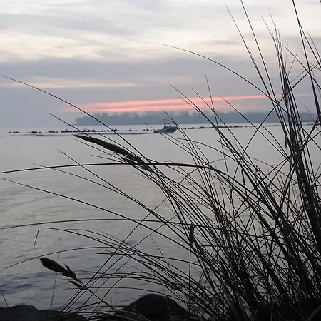 Aurora Sonnenschein 5-412 *